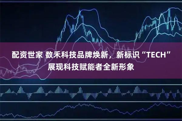 配资世家 数禾科技品牌焕新，新标识“TECH”展现科技赋能者全新形象