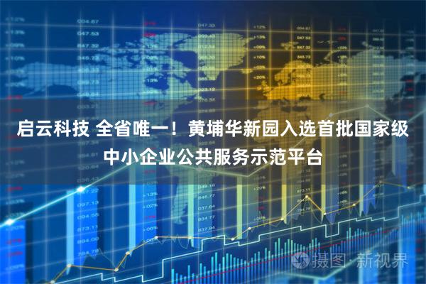 启云科技 全省唯一！黄埔华新园入选首批国家级中小企业公共服务示范平台