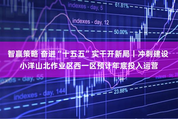 智赢策略 奋进“十五五”实干开新局丨冲刺建设 小洋山北作业区西一区预计年底投入运营