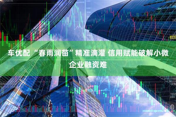 车优配 “春雨润苗”精准滴灌 信用赋能破解小微企业融资难