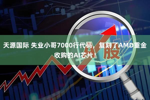 天源国际 失业小哥7000行代码，复刻了AMD重金收购的AI芯片！